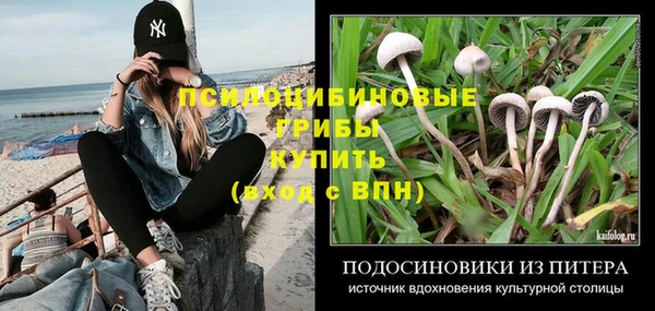 дмт Переславль-Залесский