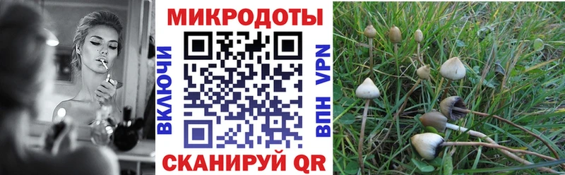Псилоцибиновые грибы Psilocybe  Орлов 